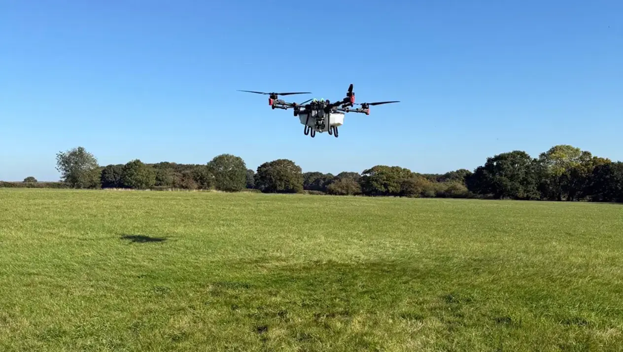 Overseeding grassland in August using an XAG P100 Pro agri drone