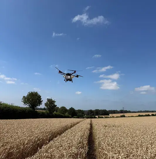 XAG p100 Drone spreading product over young wheat field