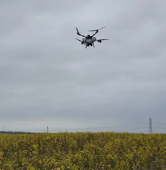 XAG p100 Drone spreading product over young wheat field